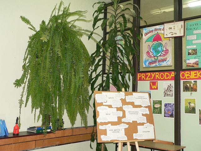 P1150306.JPG