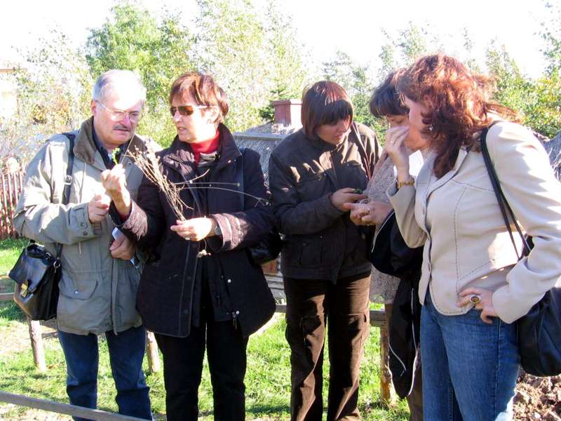 https://kwiatek.edu.pl/nieaktualna/CMS/_kronika/socrates/fotki/pobyt2006/imaged010.jpg
