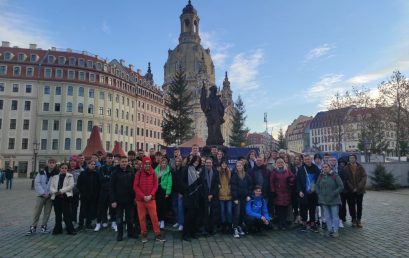 Kwiatek w Dreźnie